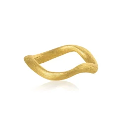 Dulong Ringer>Ring, Vega gull